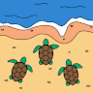 Meet your Posher, Ella